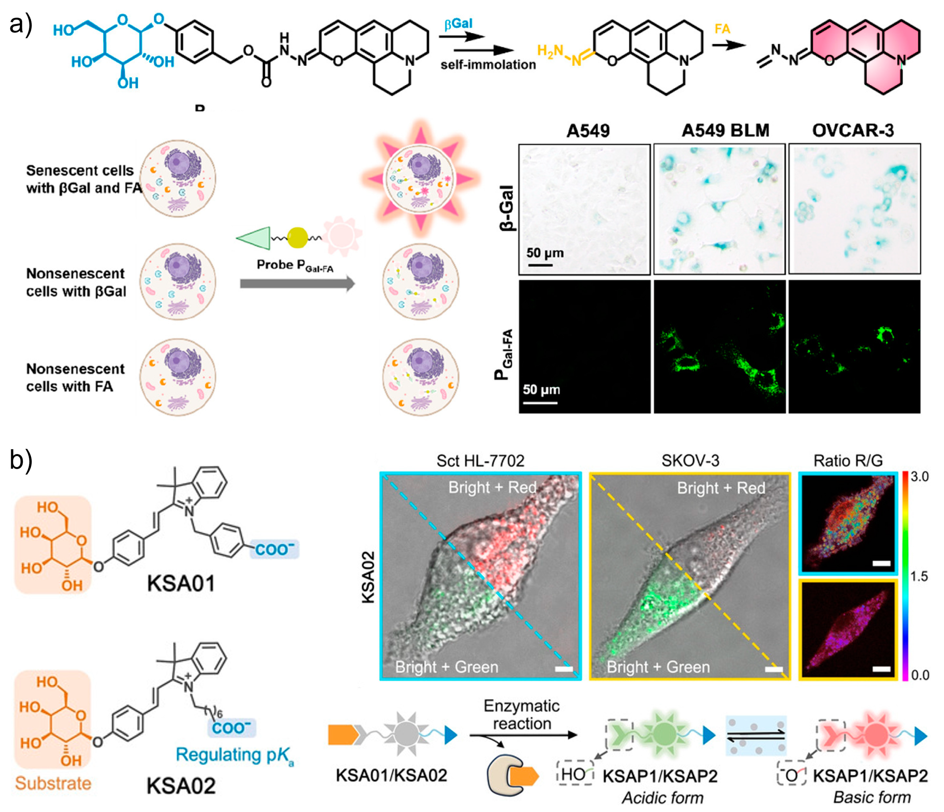 Biosensors 13 00838 g009