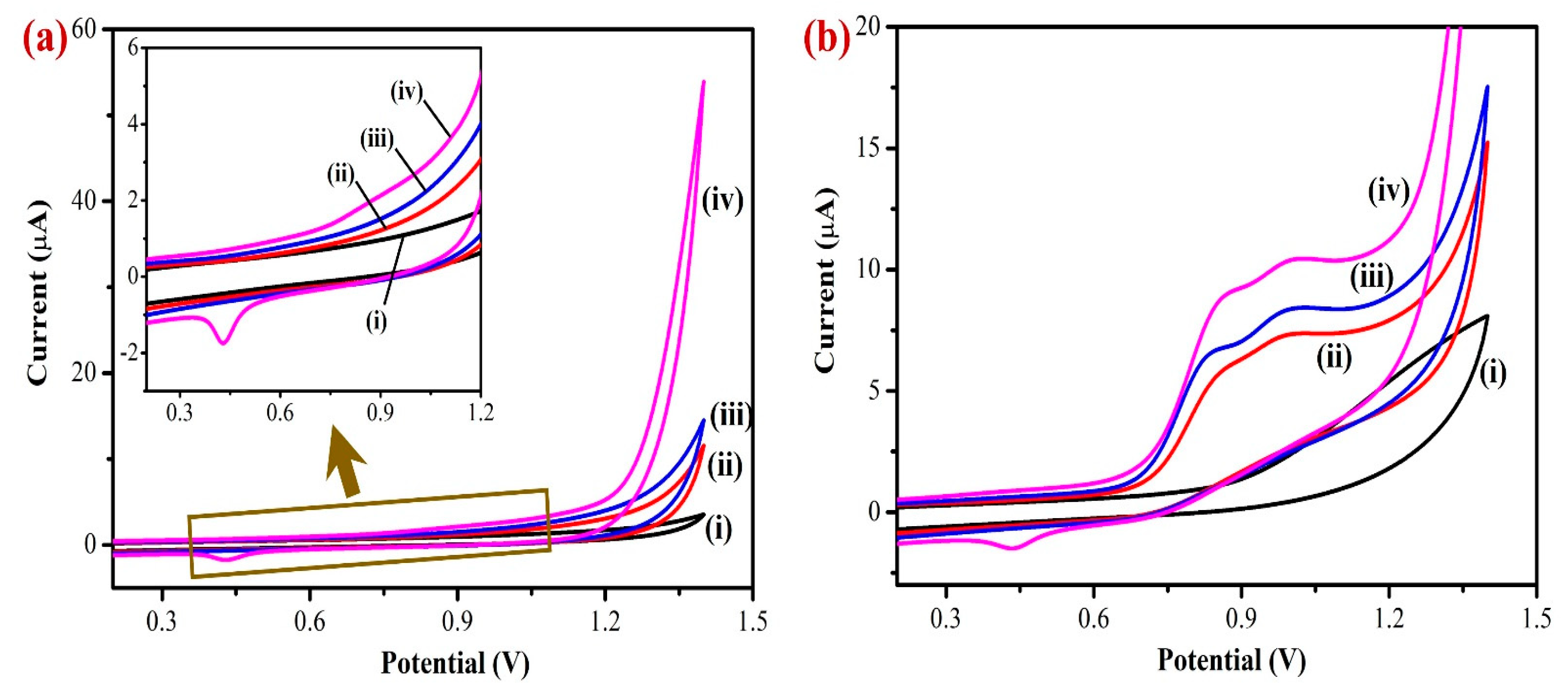 Biosensors 13 00839 g005