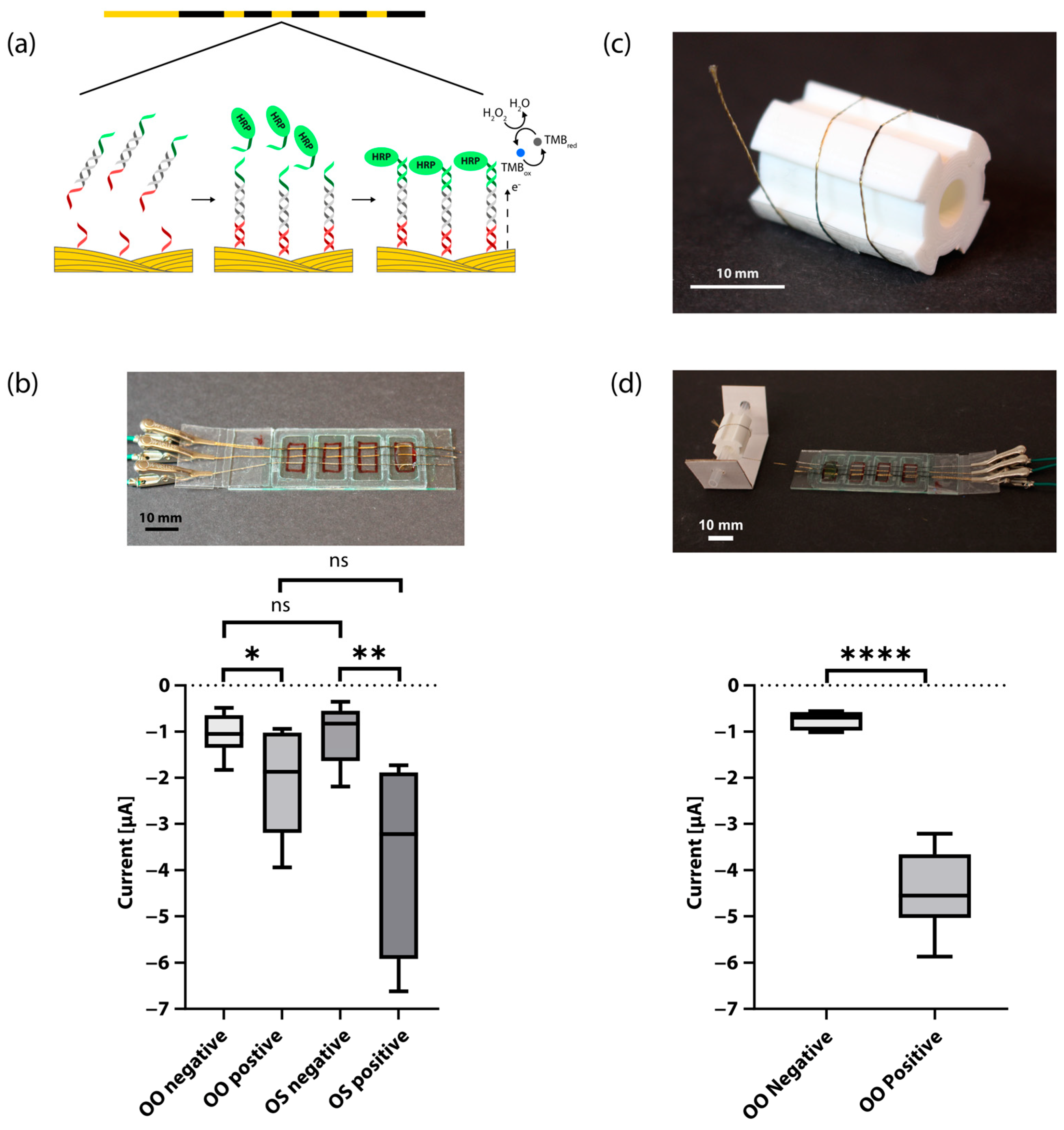 Biosensors 13 00844 g002