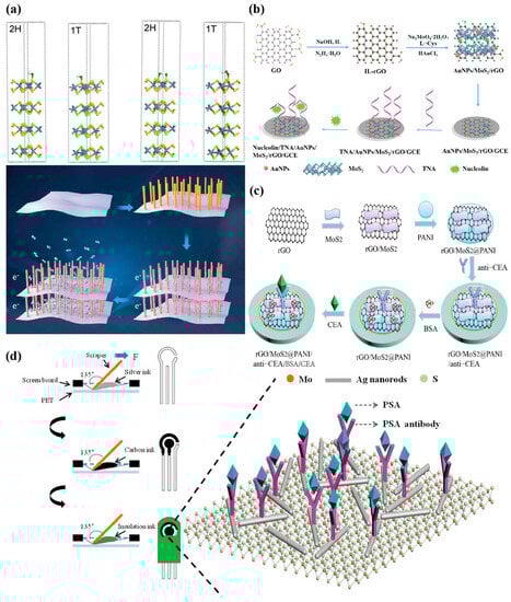Biosensors 13 00848 g003