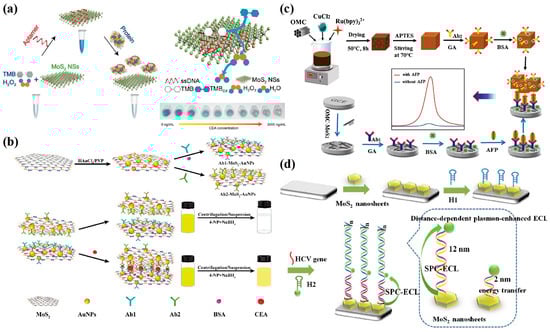 Biosensors 13 00848 g005