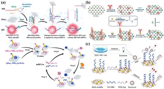 Biosensors 13 00848 g006