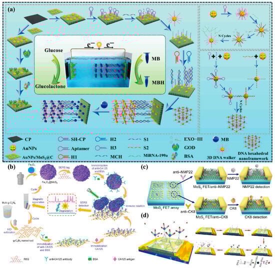 Biosensors 13 00848 g007