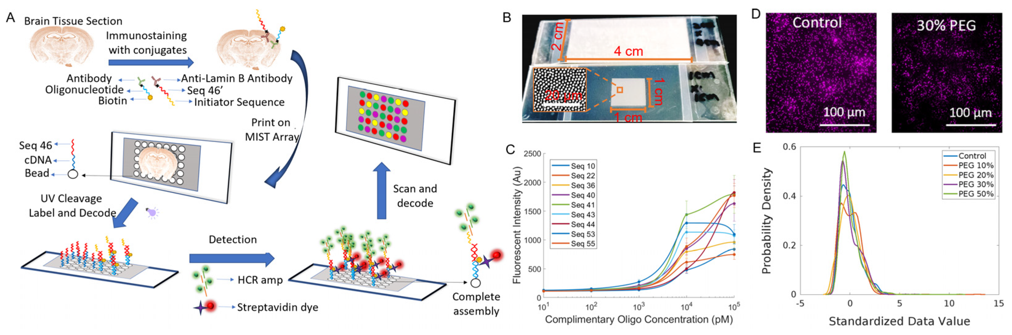 Biosensors 13 00852 g001