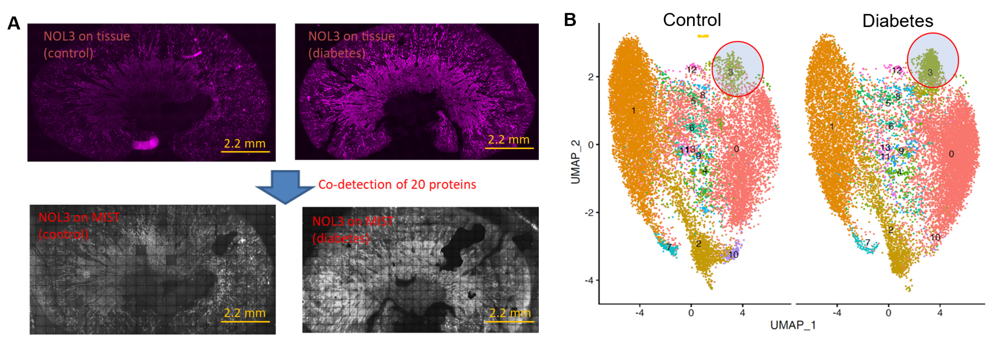 Biosensors 13 00852 g003