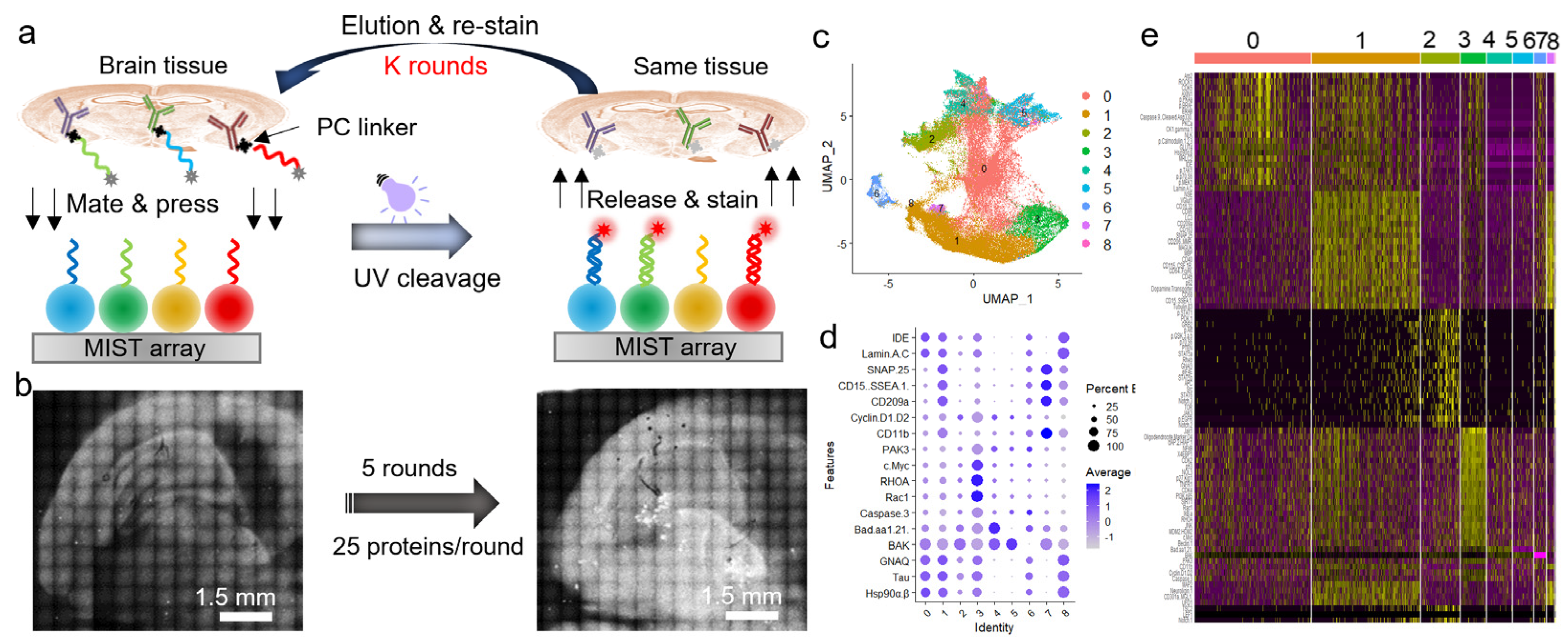 Biosensors 13 00852 g004