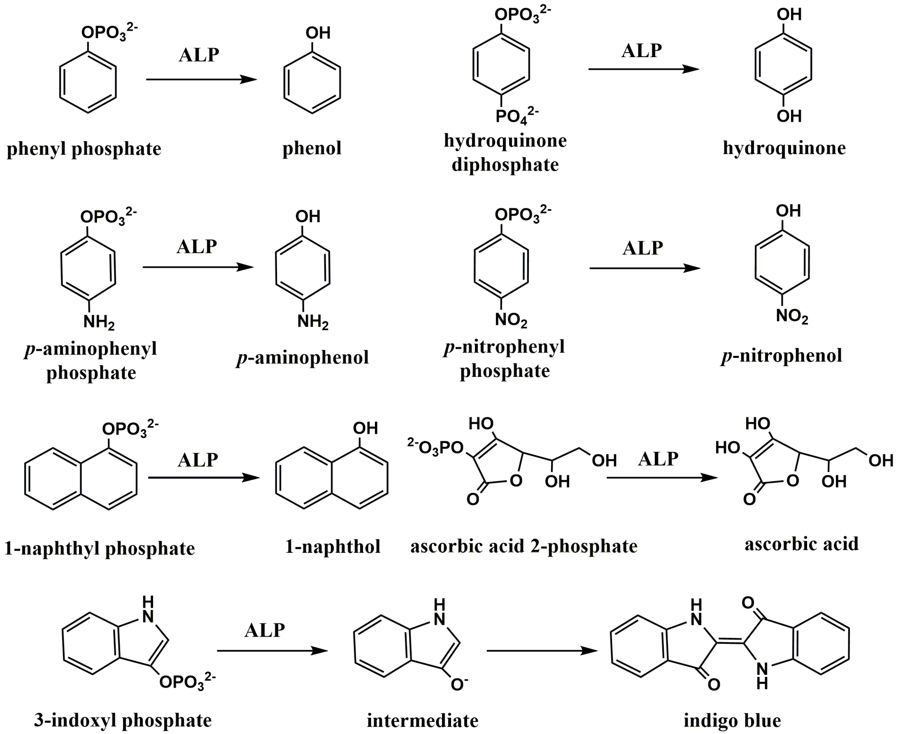 Biosensors 13 00855 g001