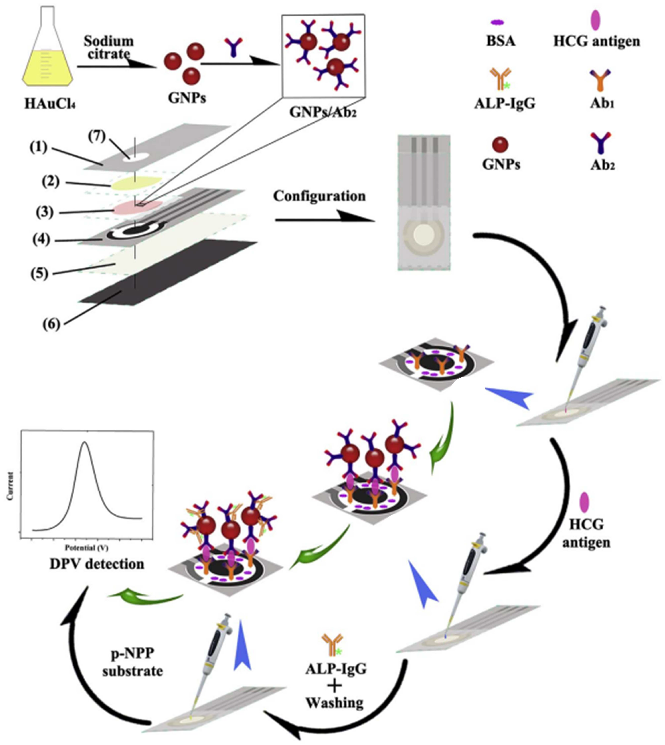 Biosensors 13 00855 g003