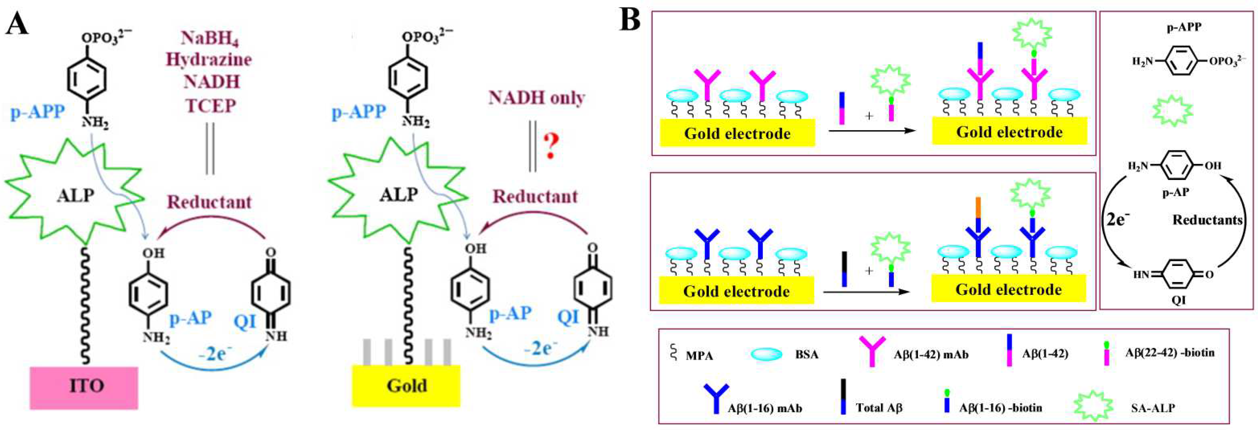Biosensors 13 00855 g005