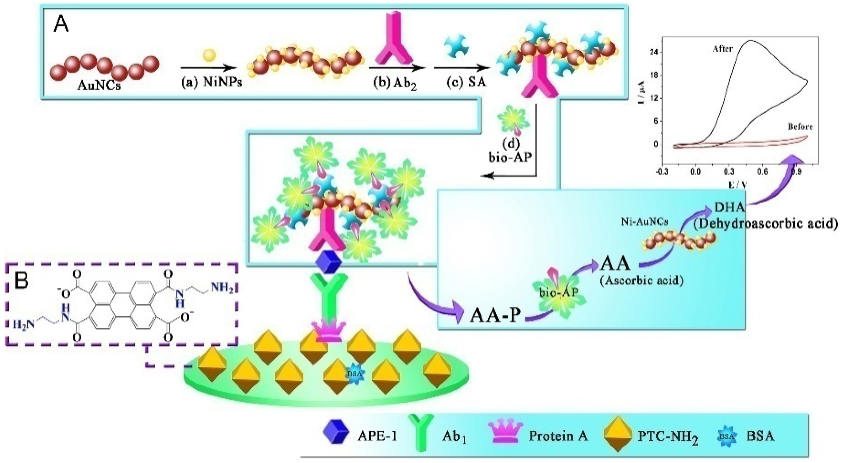 Biosensors 13 00855 g006