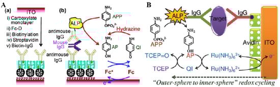 Biosensors 13 00855 g007
