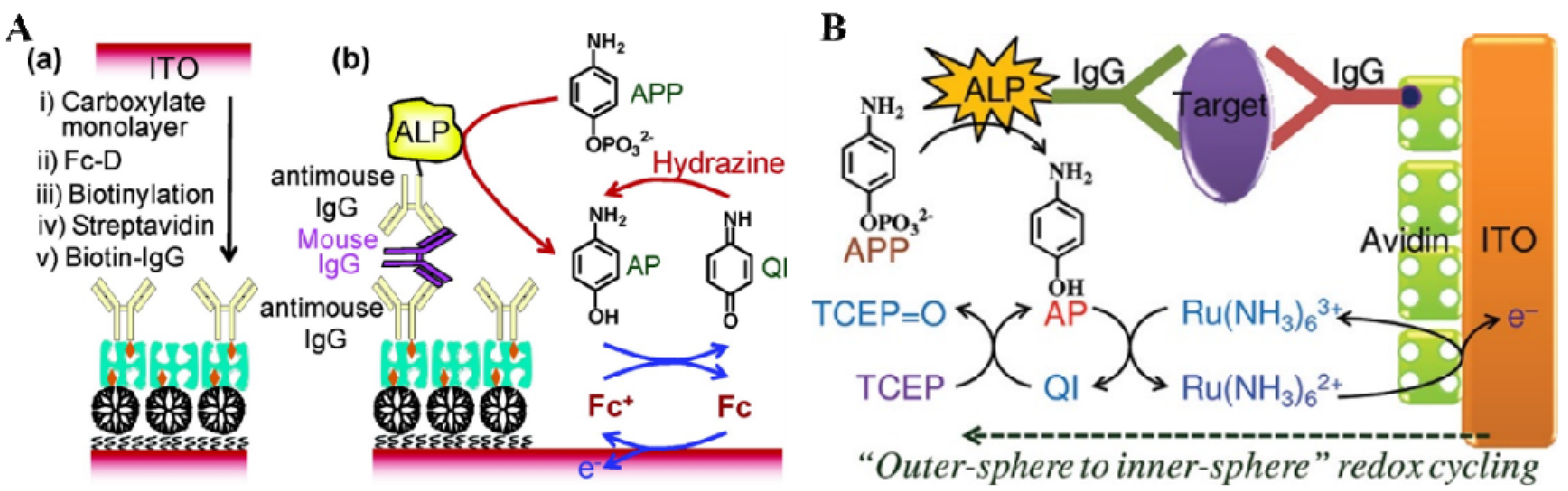 Biosensors 13 00855 g007
