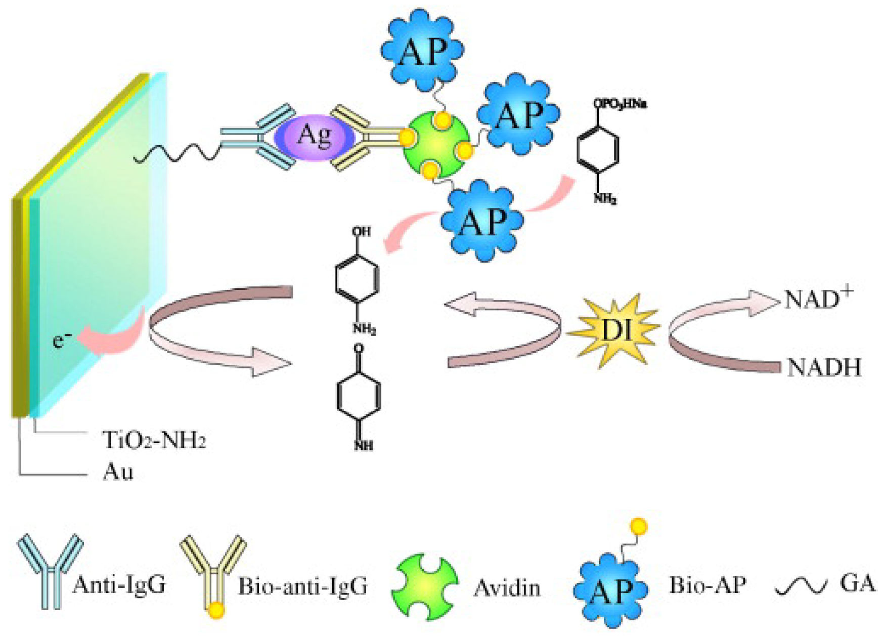 Biosensors 13 00855 g008