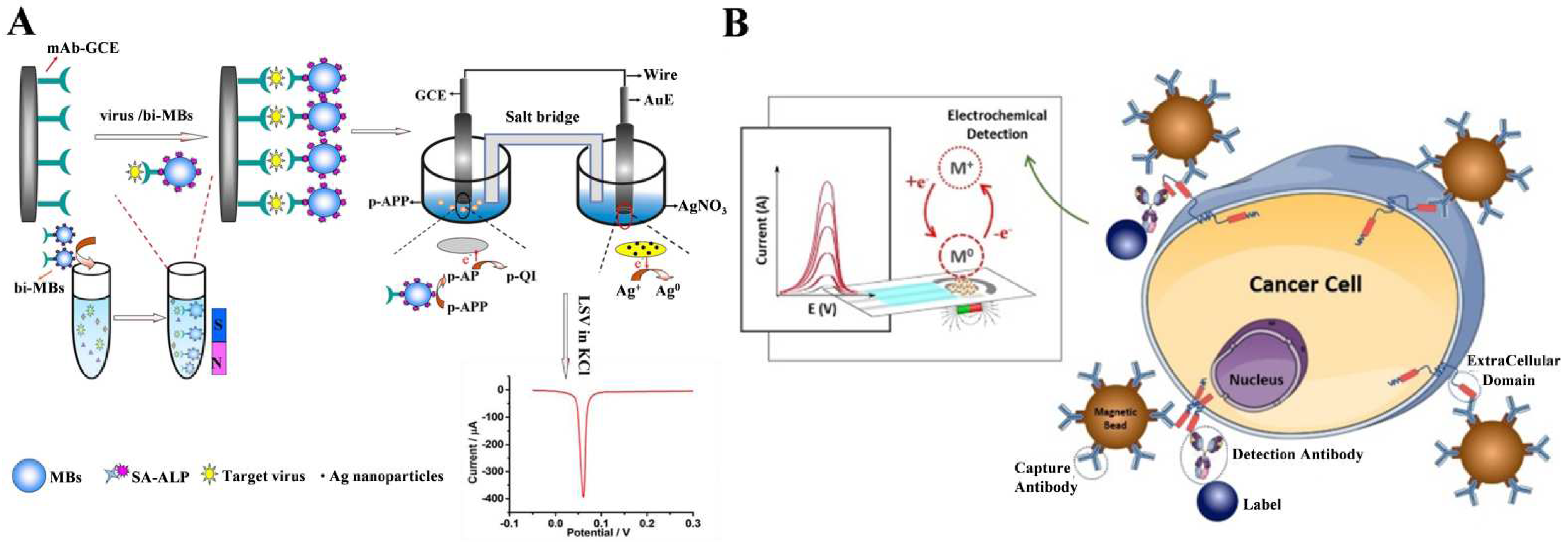 Biosensors 13 00855 g009