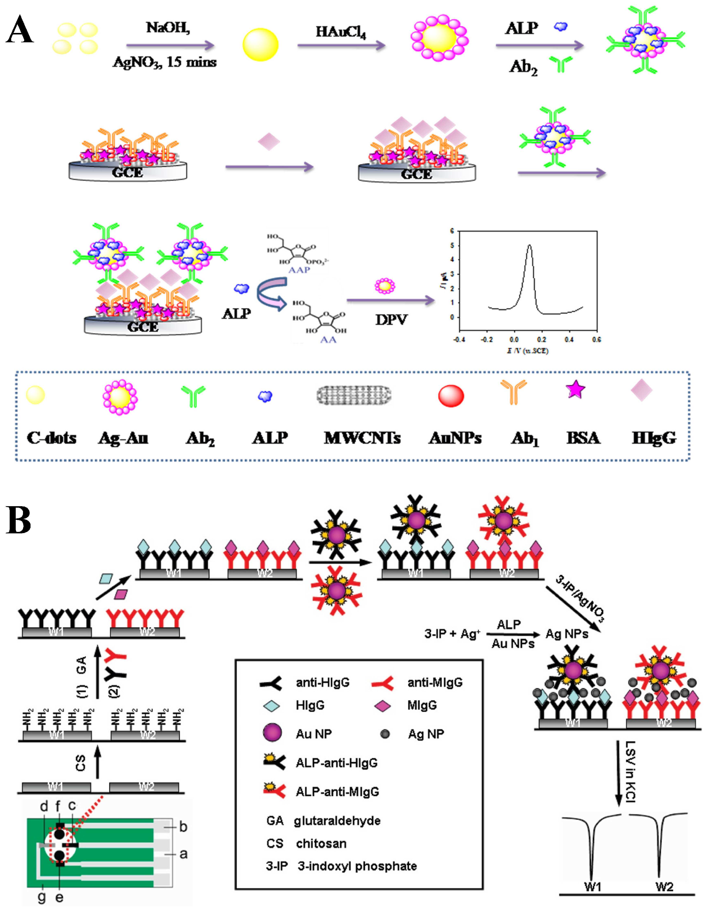 Biosensors 13 00855 g010