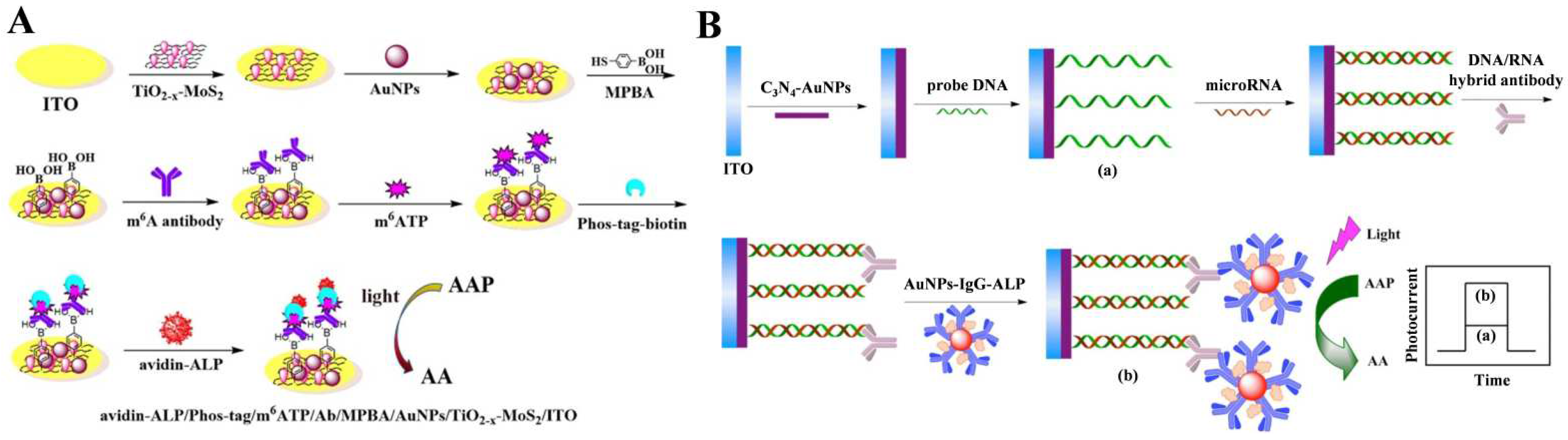 Biosensors 13 00855 g012