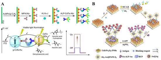 Biosensors 13 00855 g013