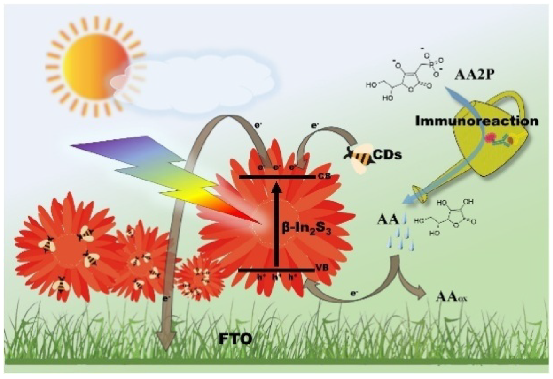 Biosensors 13 00855 g014