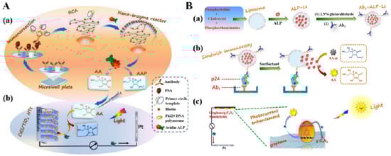 Biosensors 13 00855 g015