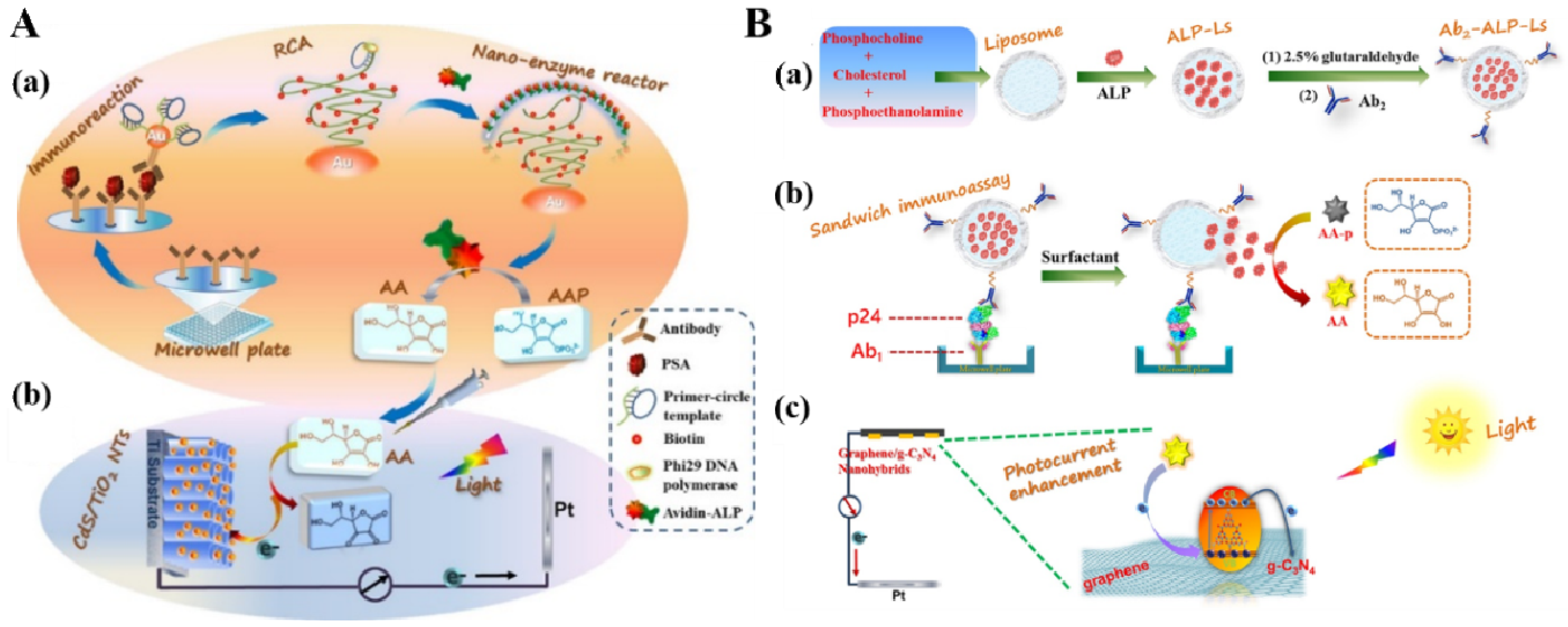 Biosensors 13 00855 g015