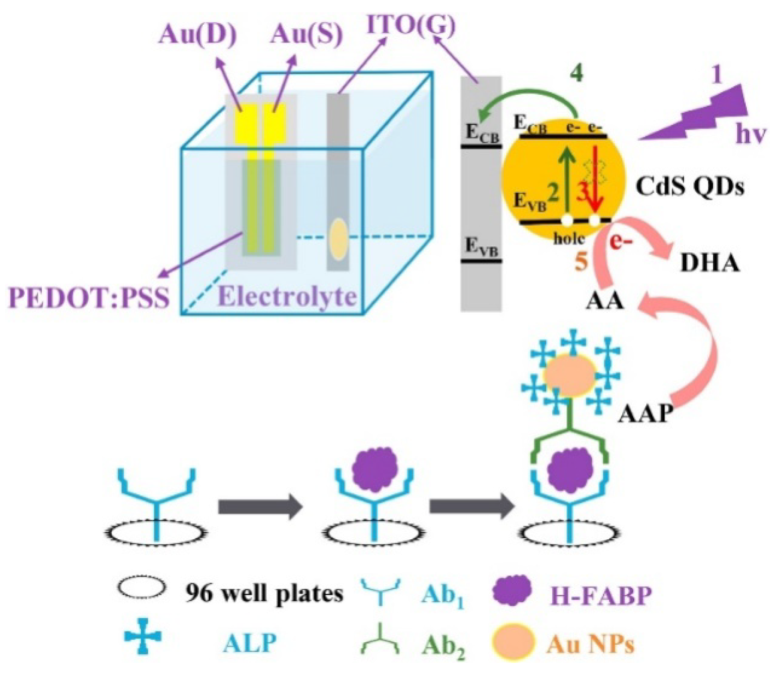 Biosensors 13 00855 g016