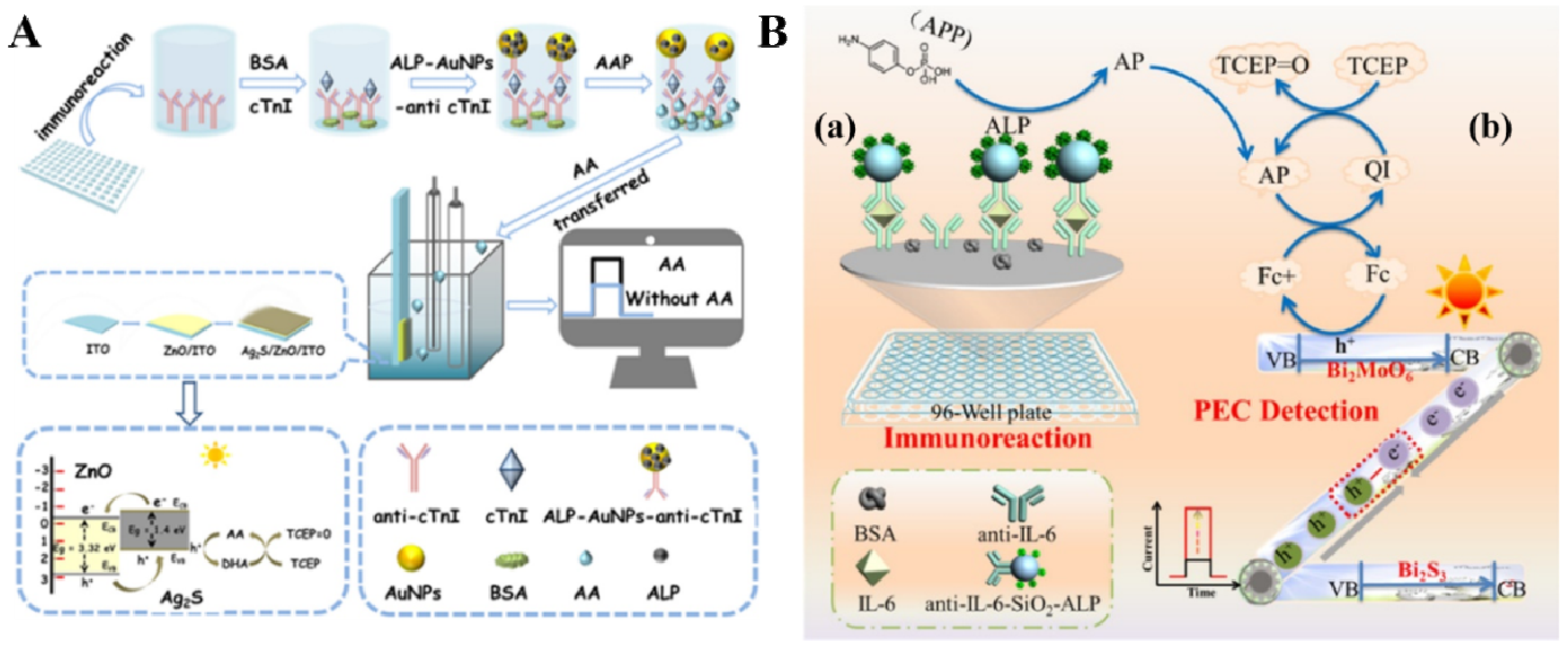 Biosensors 13 00855 g018