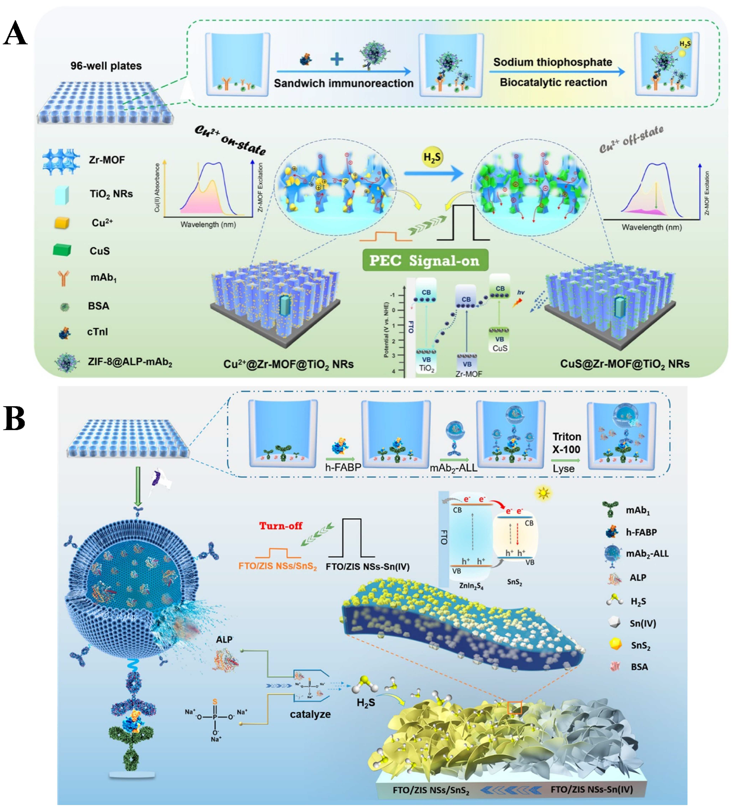 Biosensors 13 00855 g020