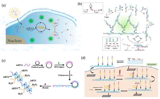 Biosensors 13 00856 g002