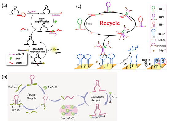 Biosensors 13 00856 g003