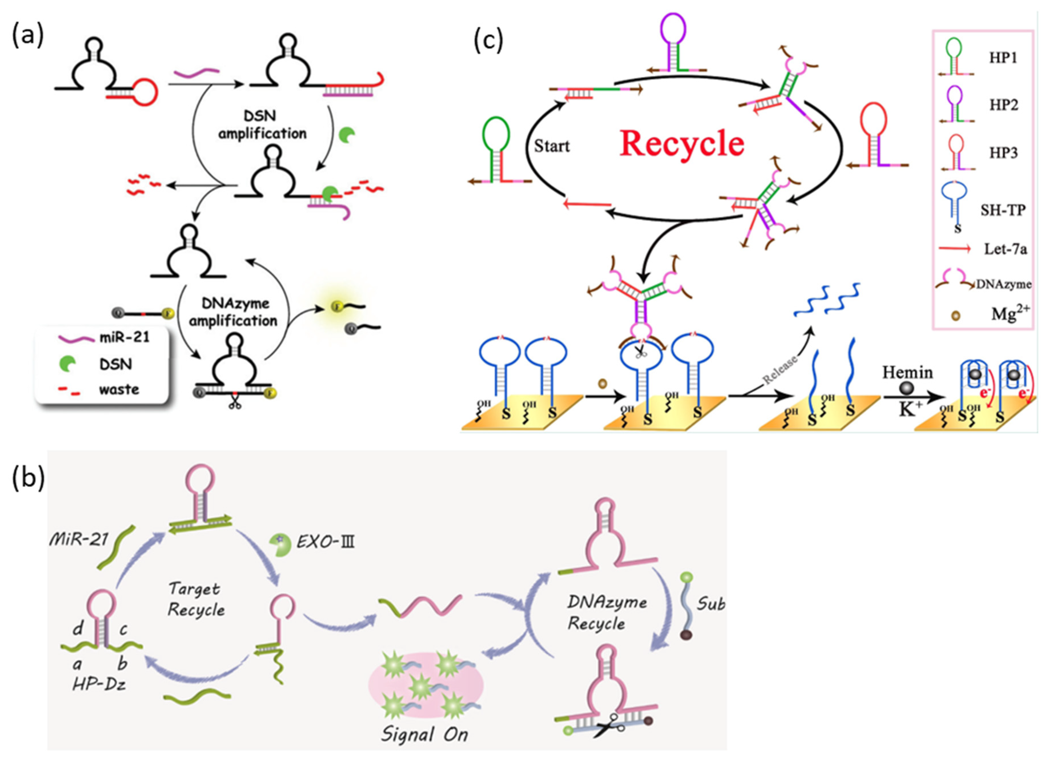 Biosensors 13 00856 g003