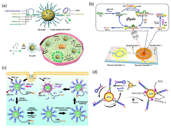 Biosensors 13 00856 g007