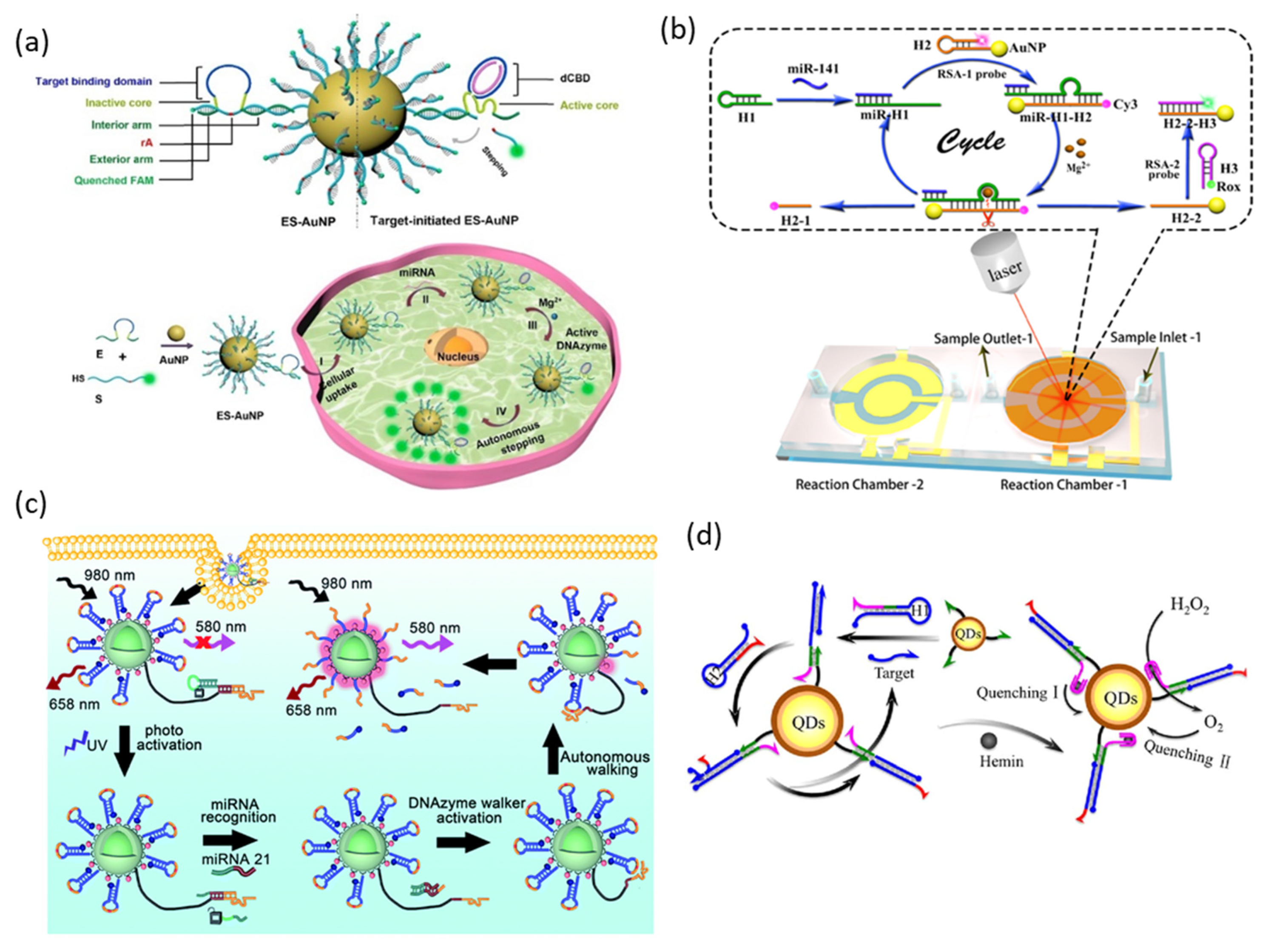 Biosensors 13 00856 g007