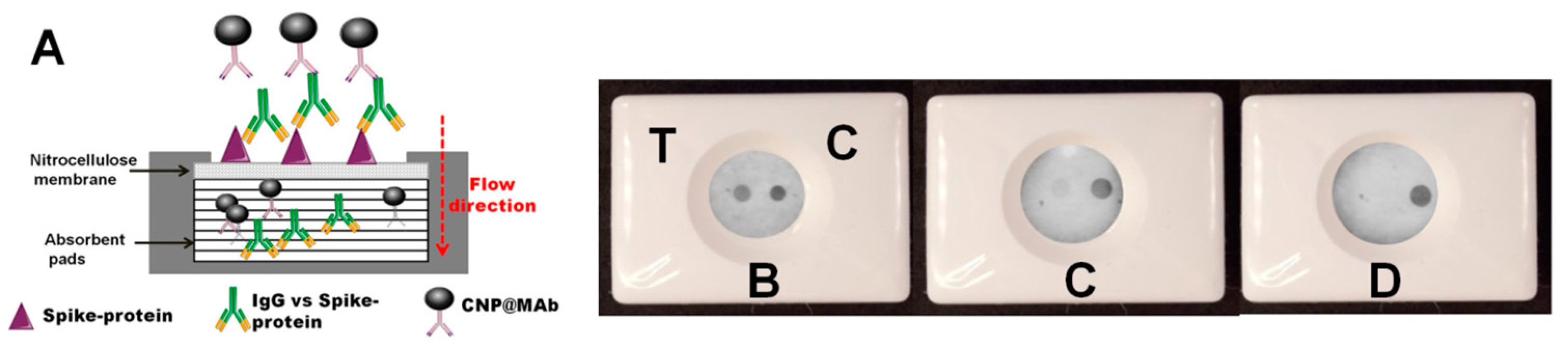 Biosensors 13 00857 g001