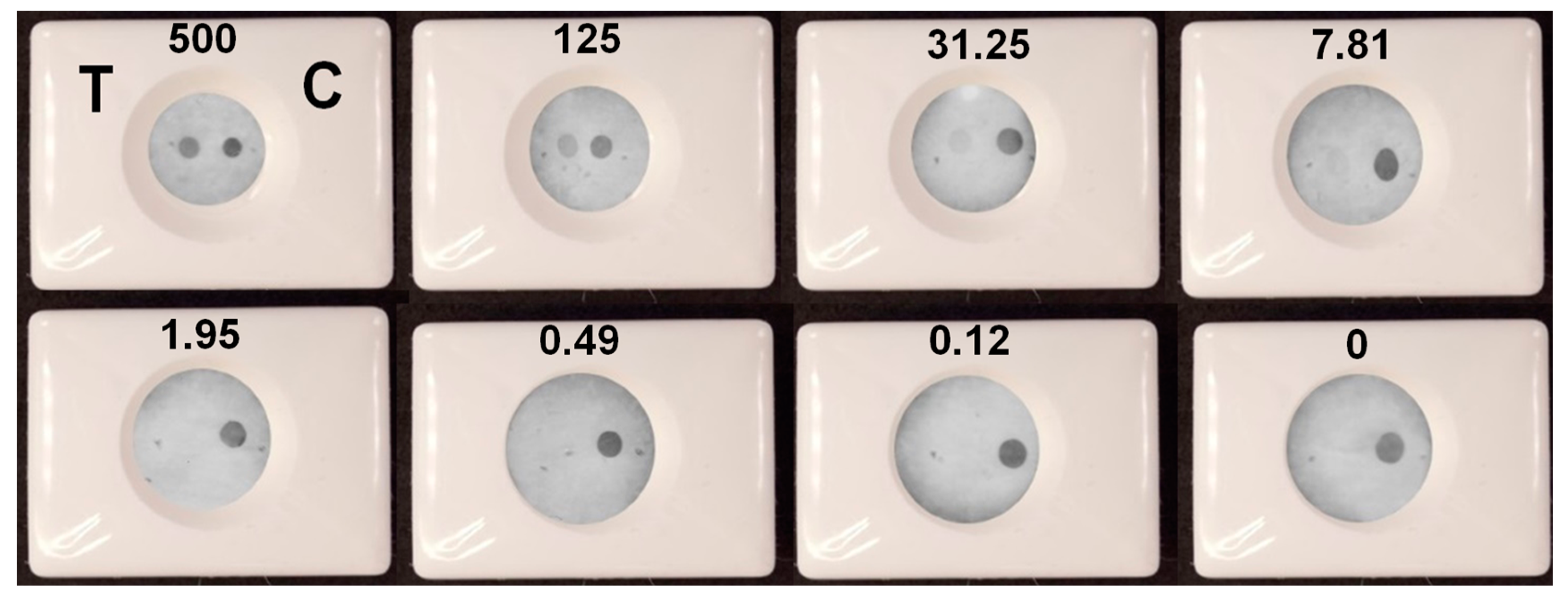 Biosensors 13 00857 g010