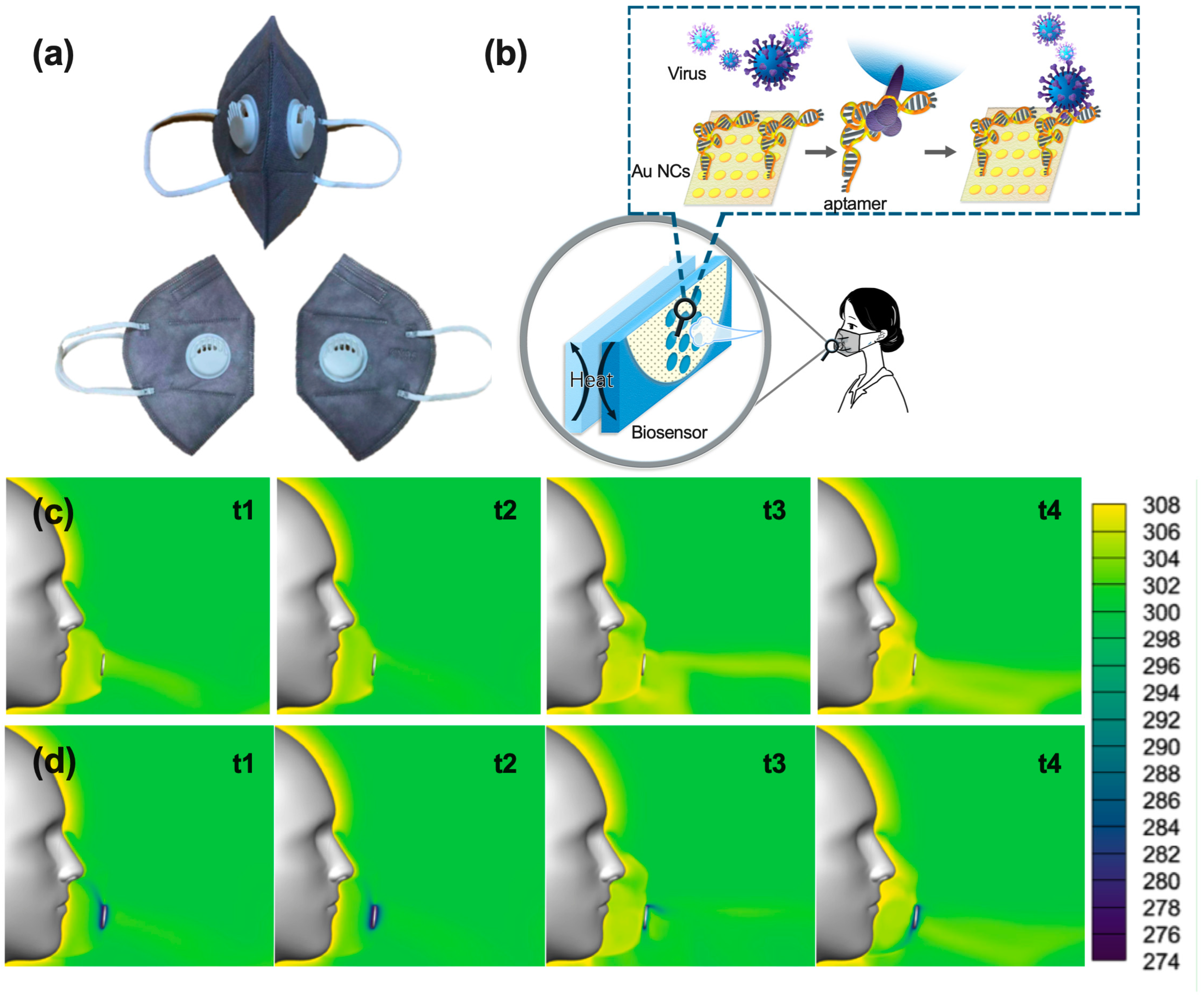 Biosensors 13 00858 g001