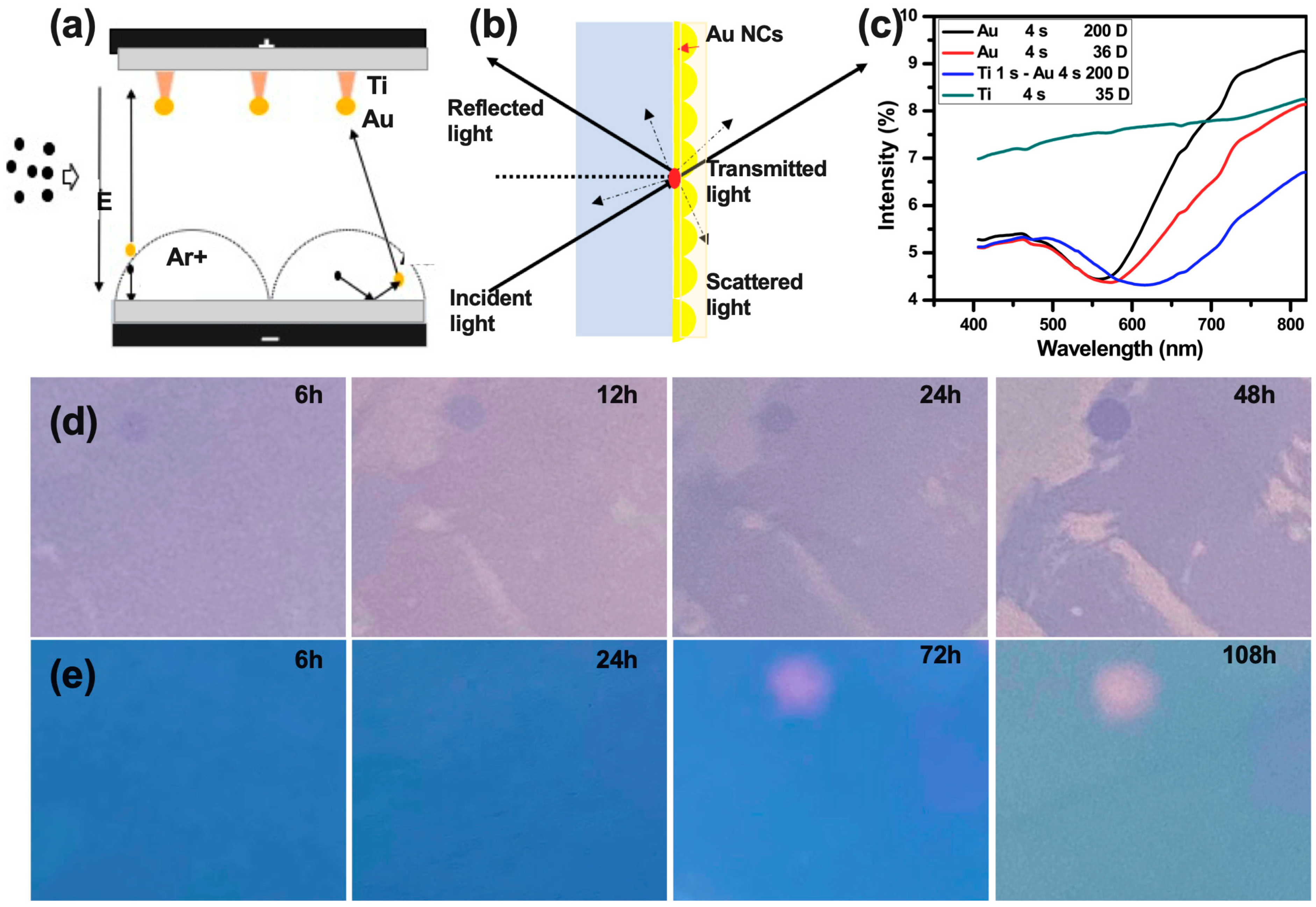 Biosensors 13 00858 g002