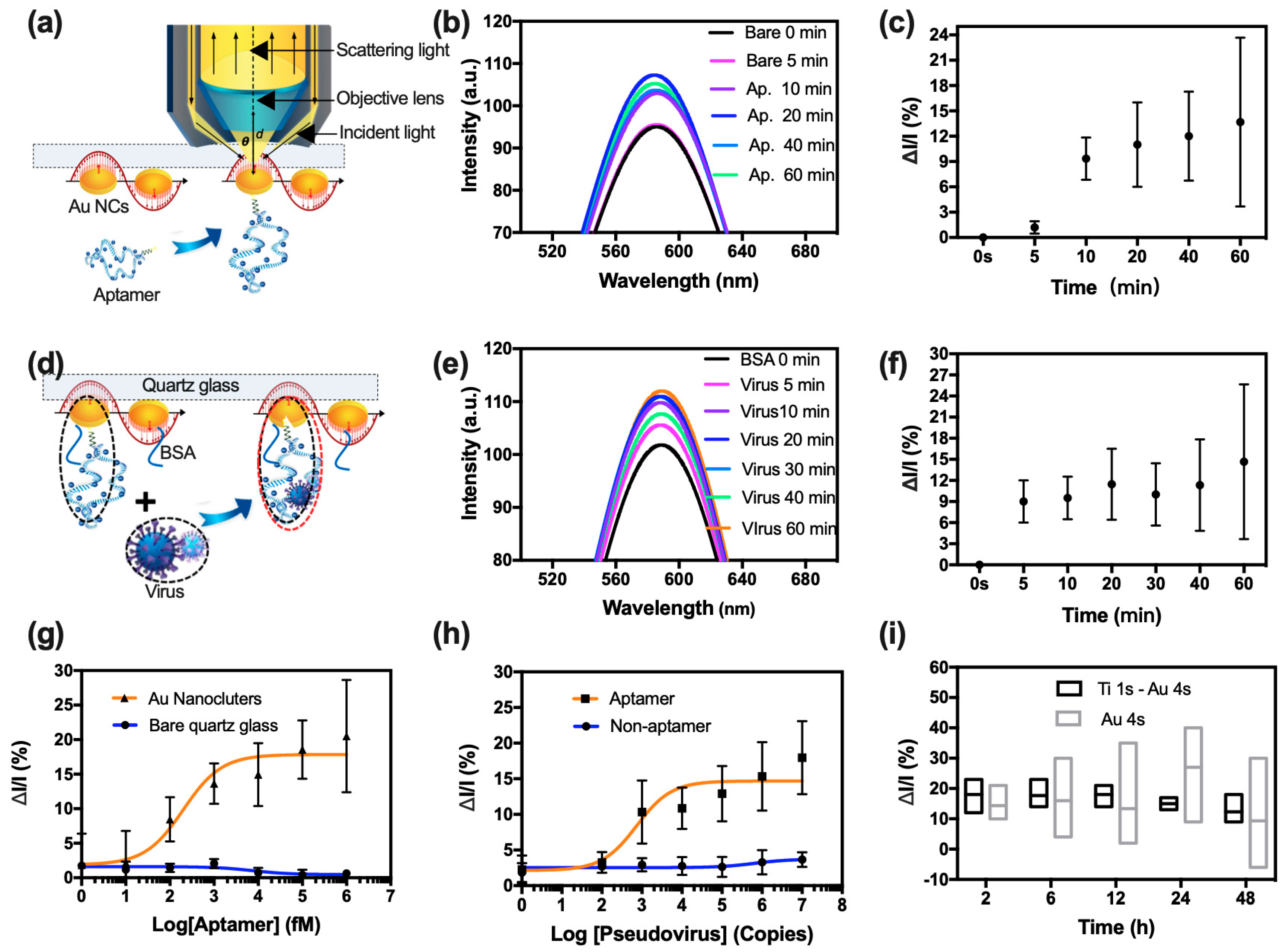 Biosensors 13 00858 g003