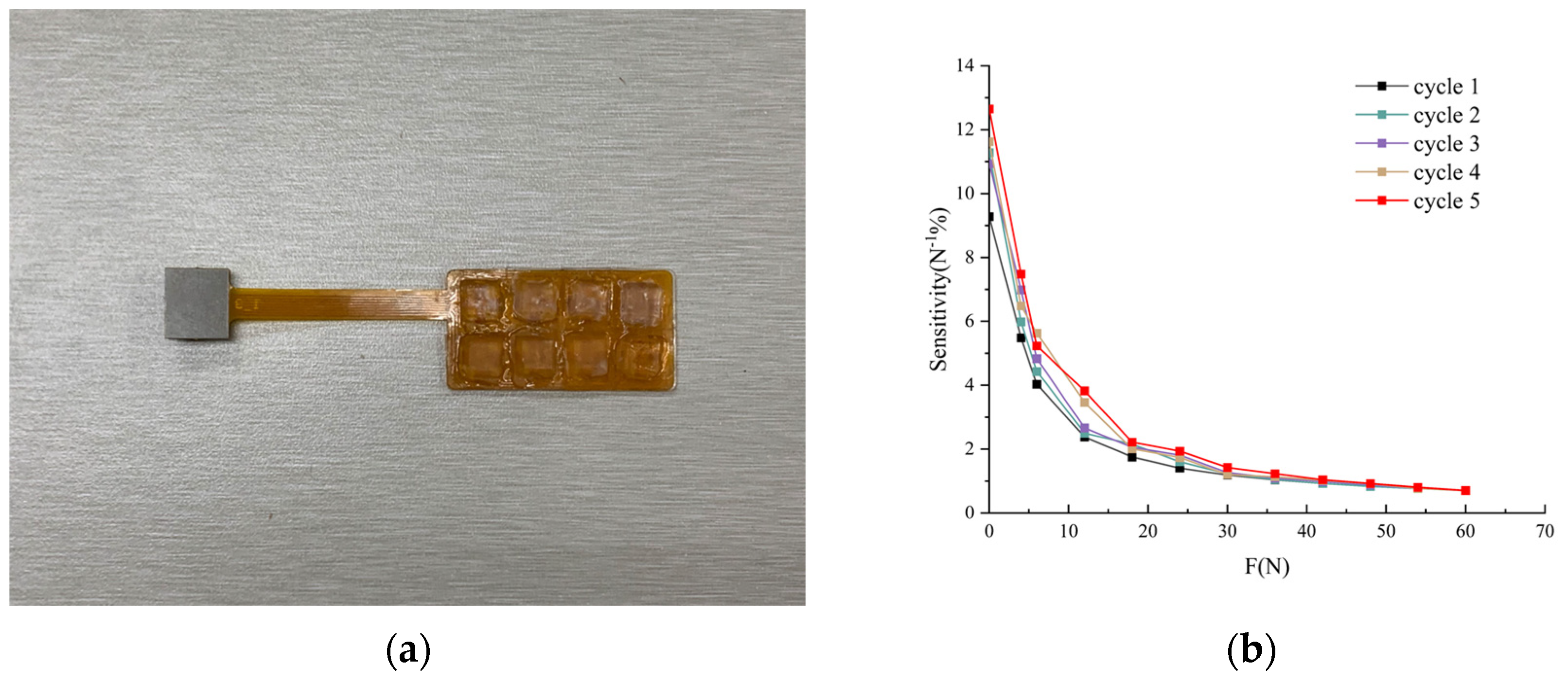 Biosensors 13 00862 g003