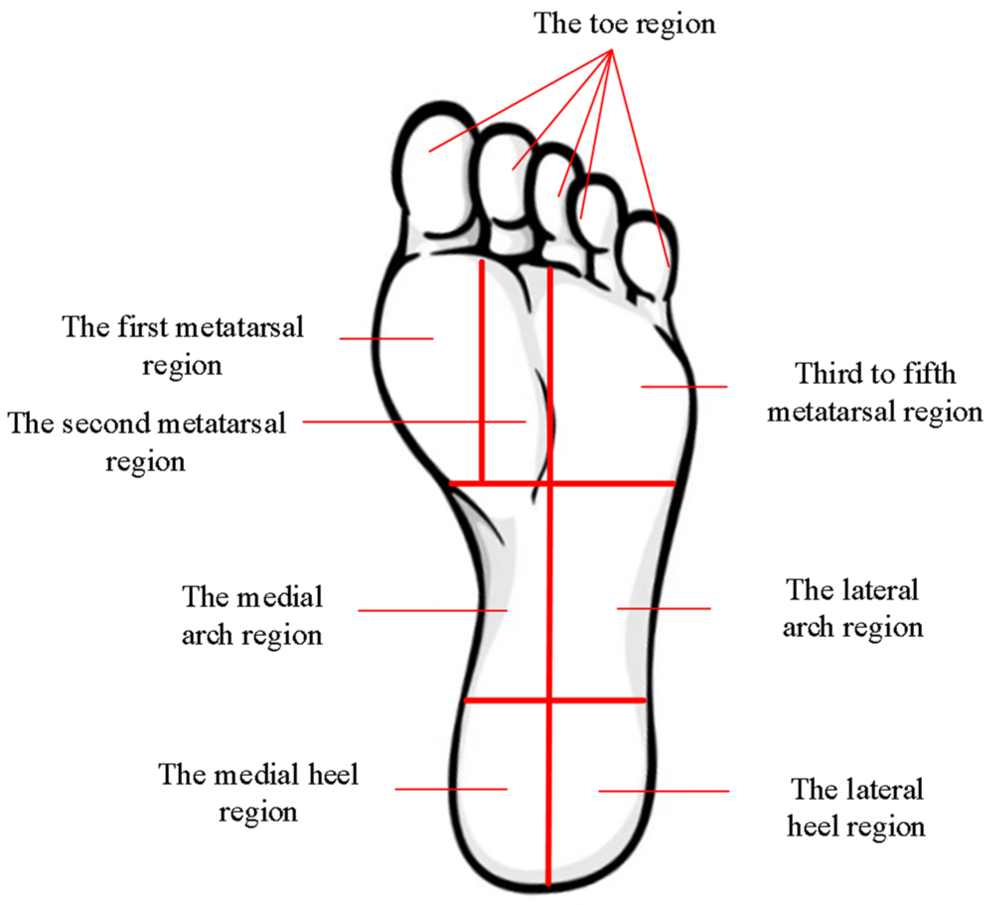 Biosensors 13 00862 g004