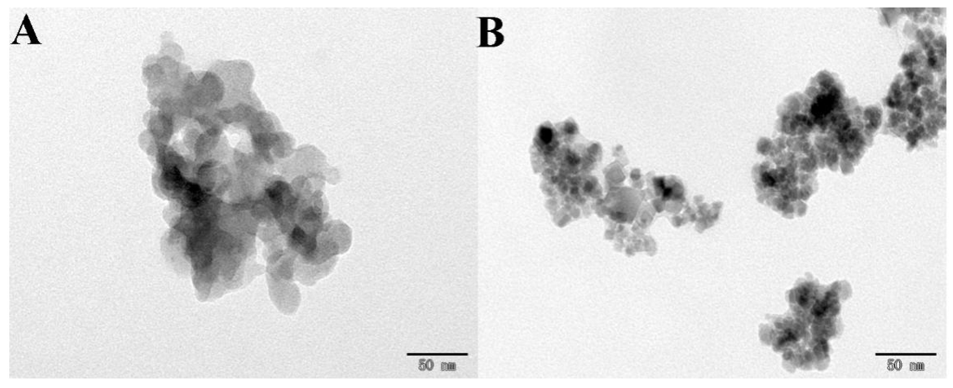 Biosensors 13 00863 g002