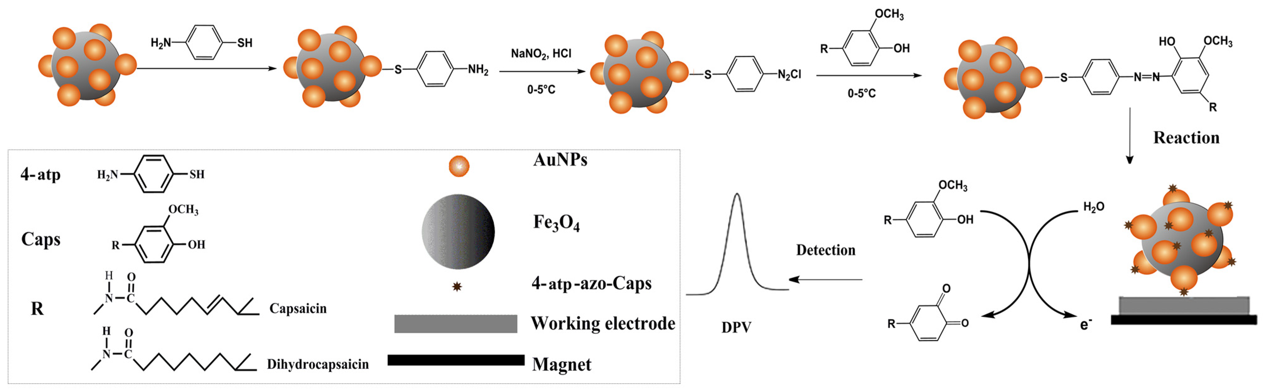 Biosensors 13 00863 sch001