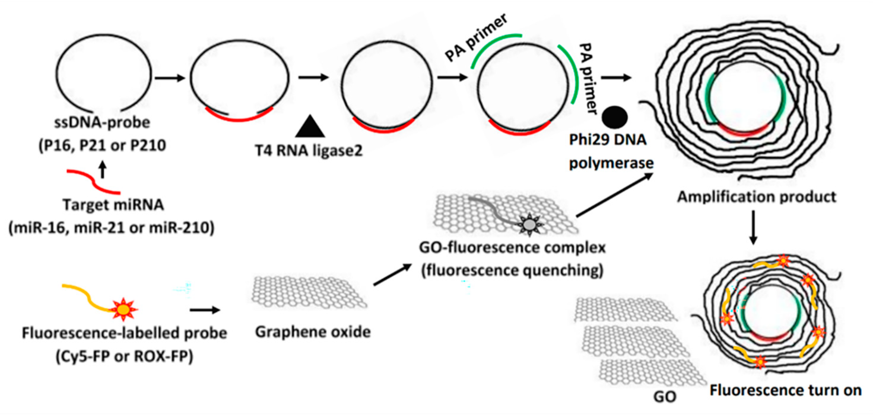 Biosensors 13 00864 g001