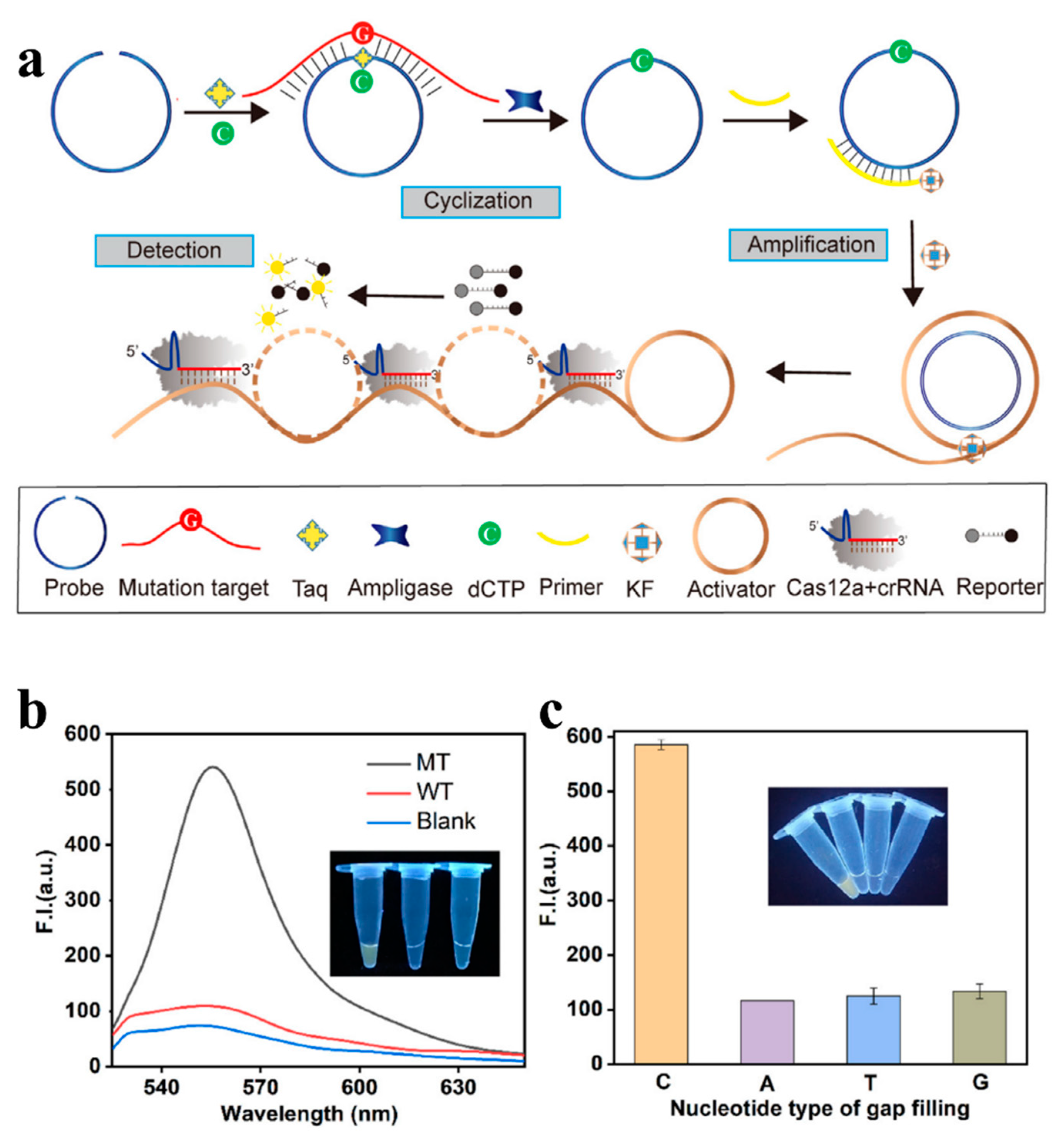 Biosensors 13 00864 g002