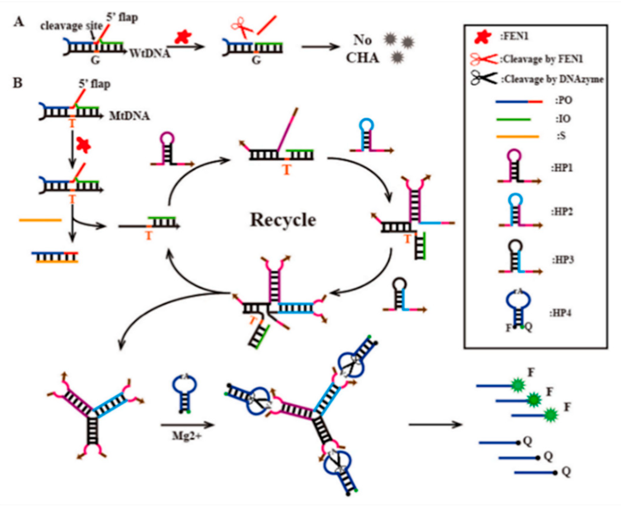 Biosensors 13 00864 g003