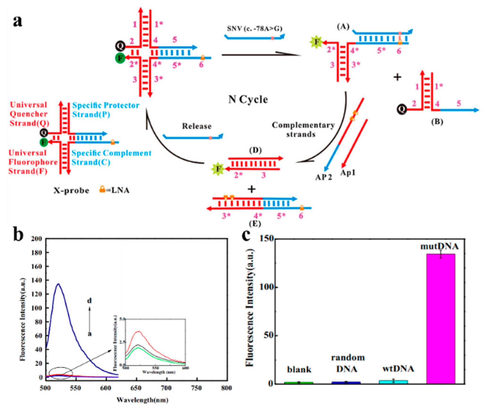Biosensors 13 00864 g004