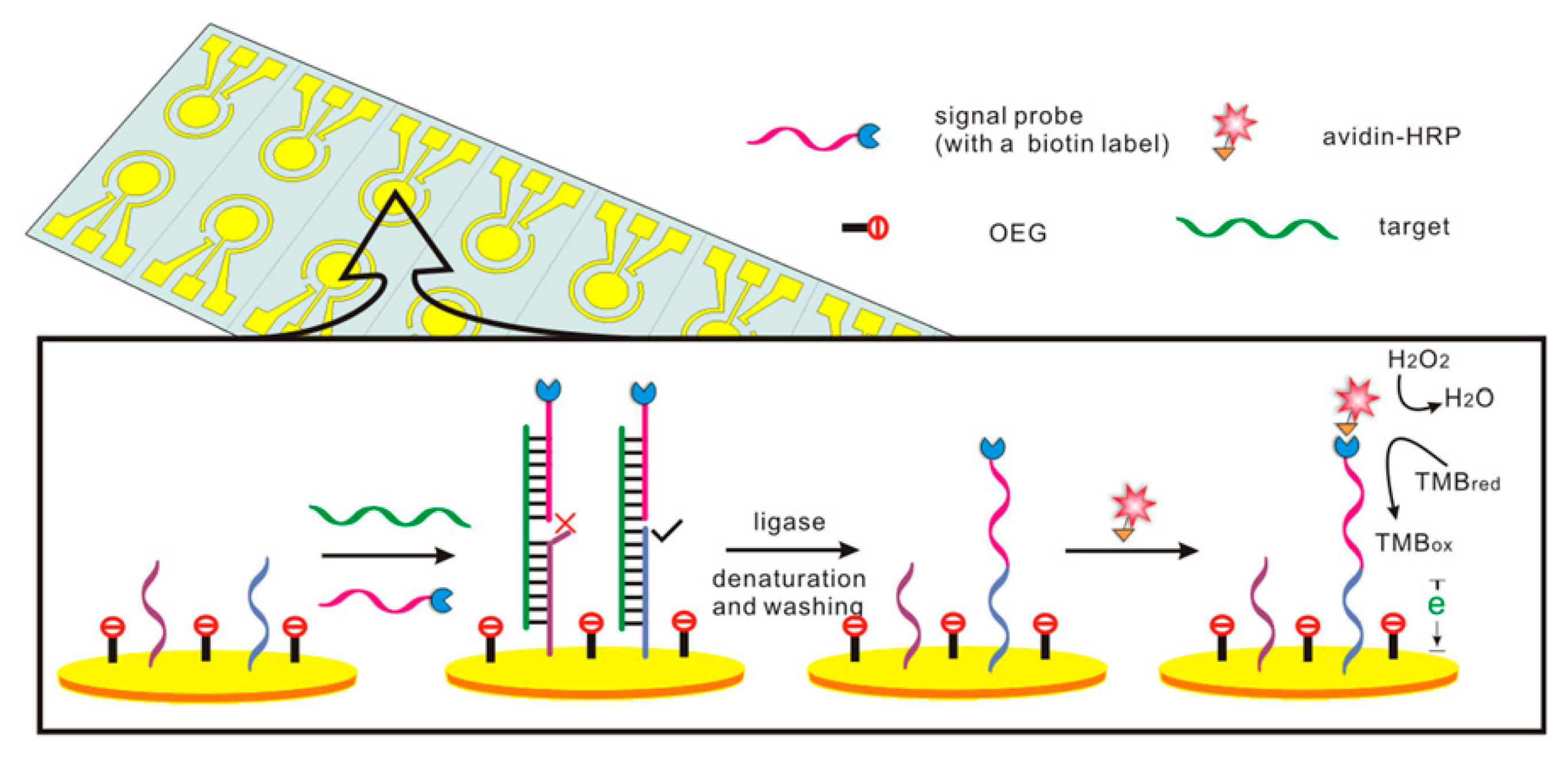 Biosensors 13 00864 g009