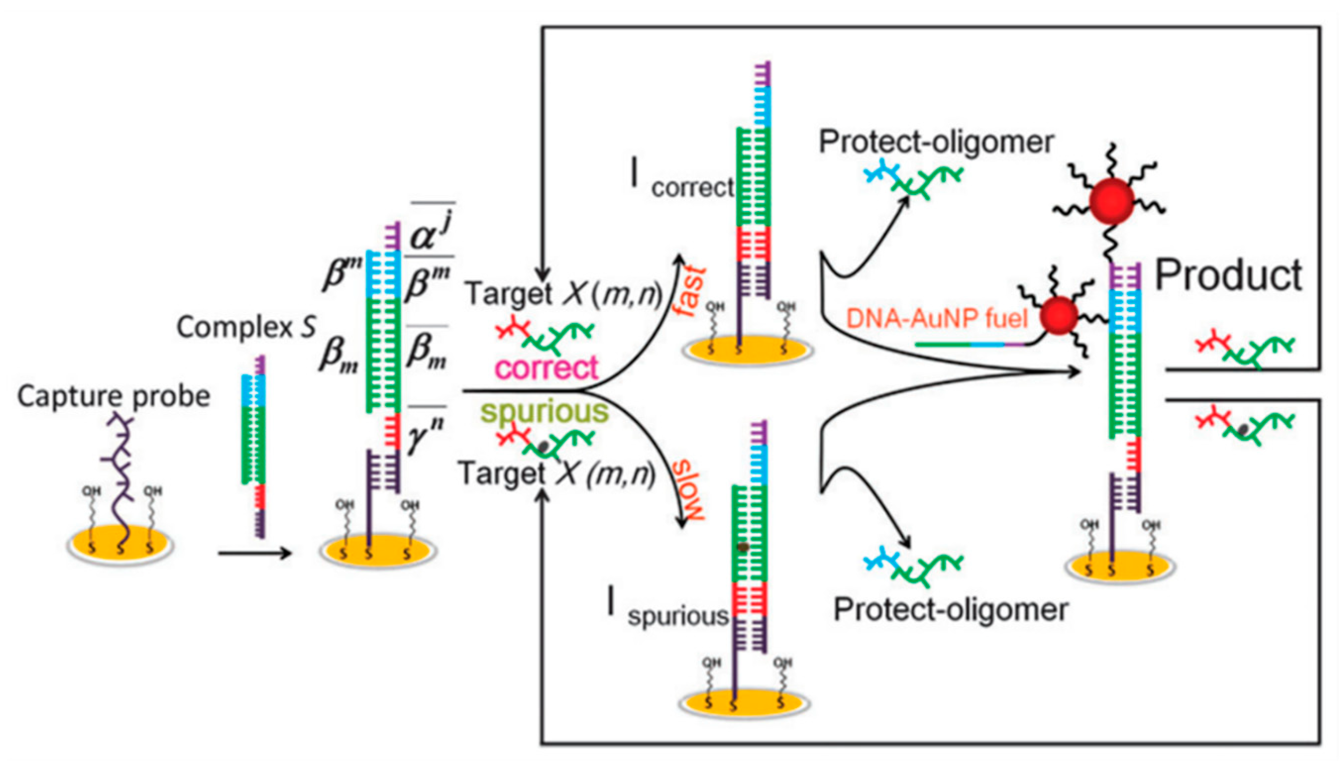 Biosensors 13 00864 g011