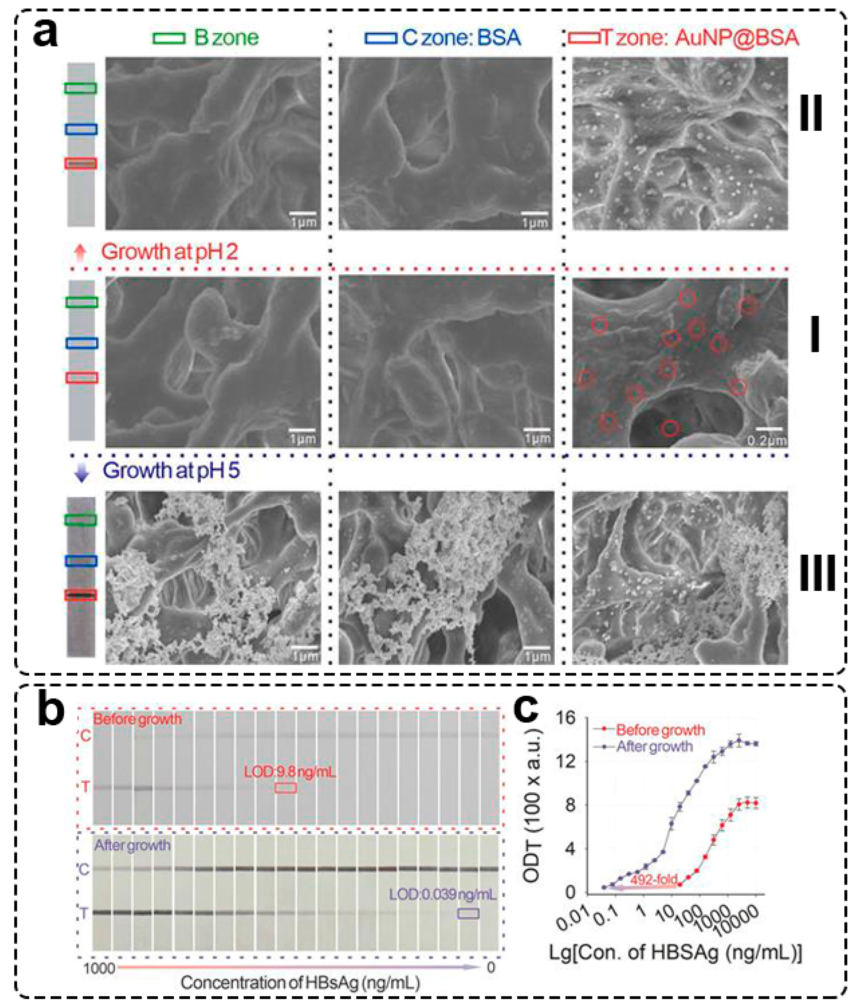 Biosensors 13 00866 g003