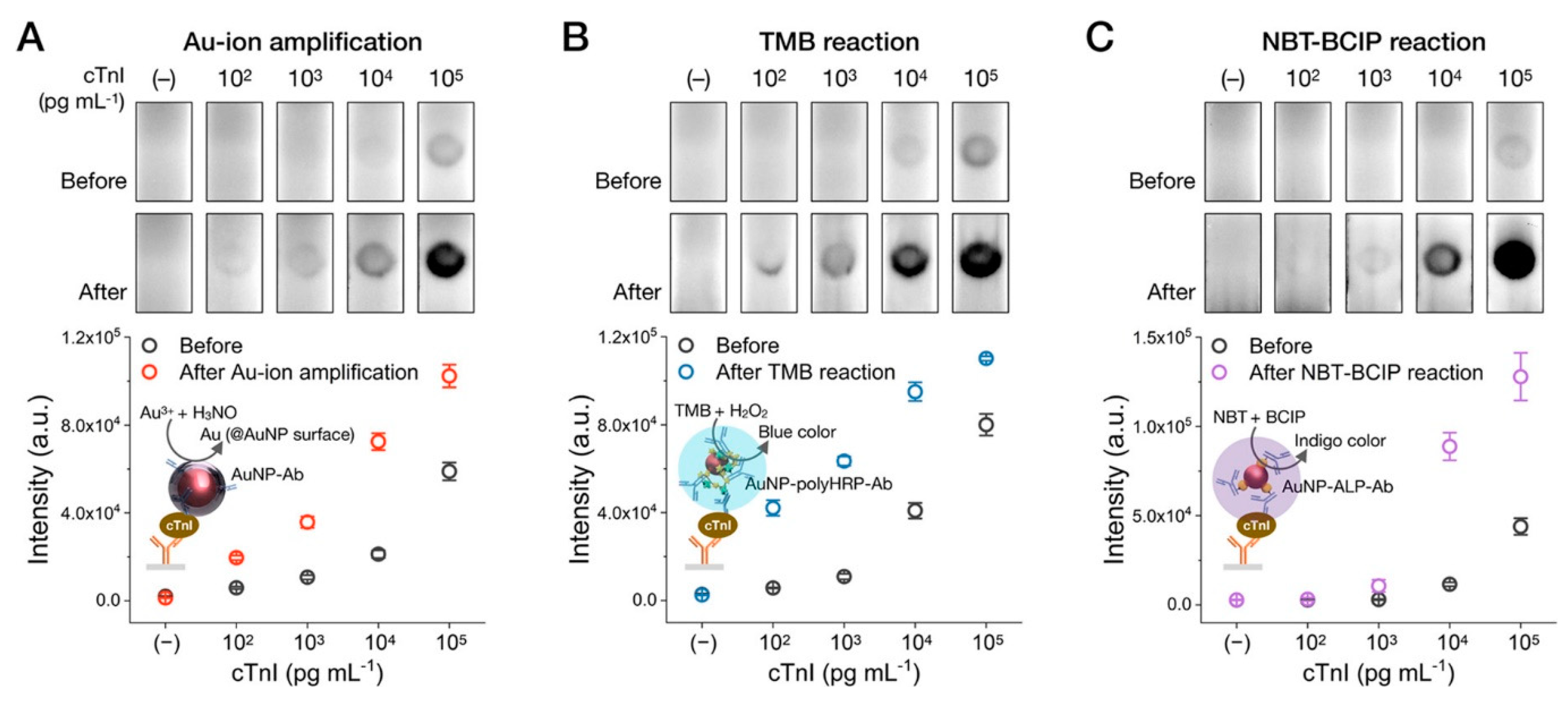 Biosensors 13 00866 g013