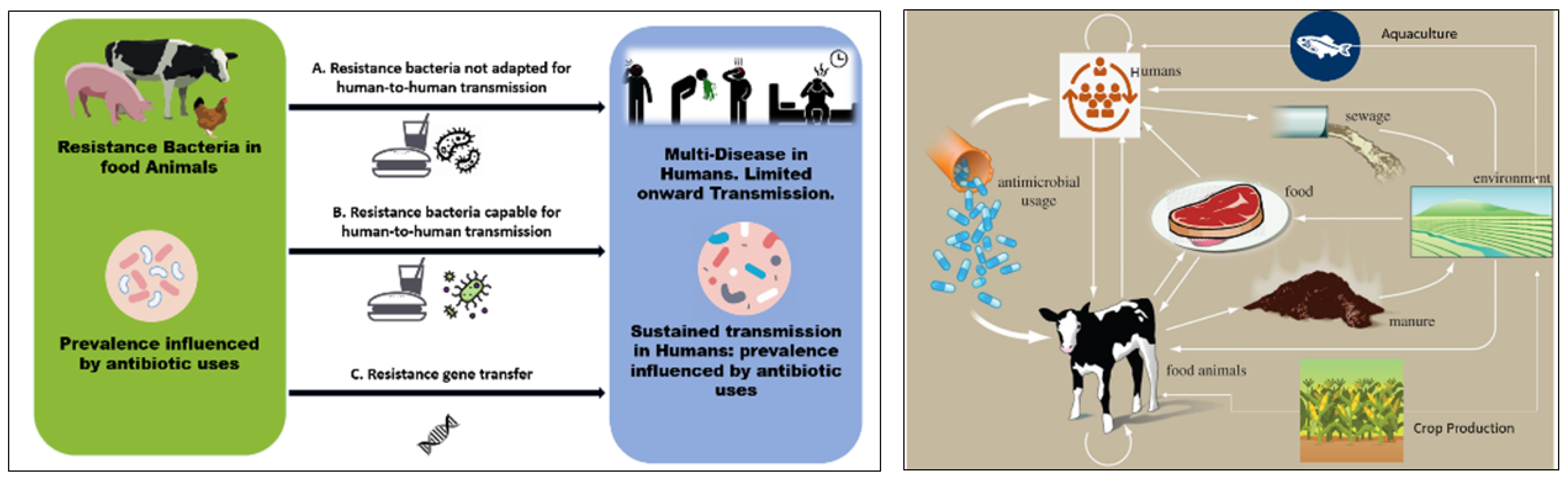Biosensors 13 00867 g001 Biosensors 13 00867 g001